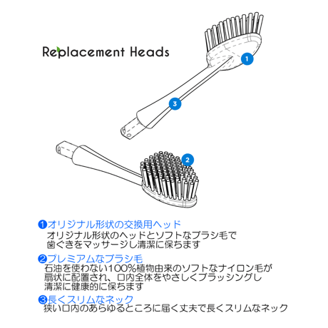 ラディウス替ブラシ（ソース、トラベル歯ブラシ専用）