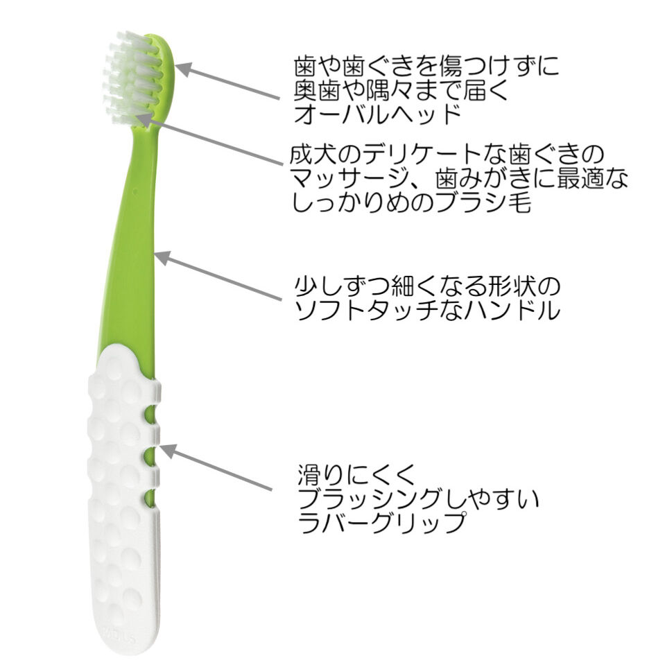 成犬用(1.5〜8才)歯ブラシ& オーガニック歯みがきジェル(22.7g
