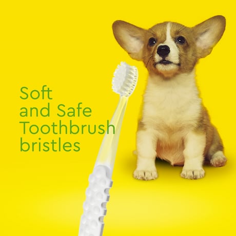 子犬用(0〜18ヶ月) 歯ブラシ& オーガニック歯みがきジェル(22.7g)セット