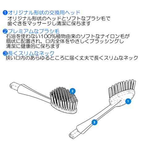 ラディウス替ブラシ（ソース、トラベル歯ブラシ専用）2本入り2セット