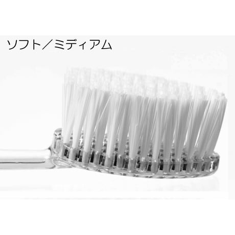 ラディウス替ブラシ（ソース、トラベル歯ブラシ専用）2本入り2セット