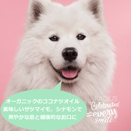 愛犬用オーガニック歯みがきジェル(85g)