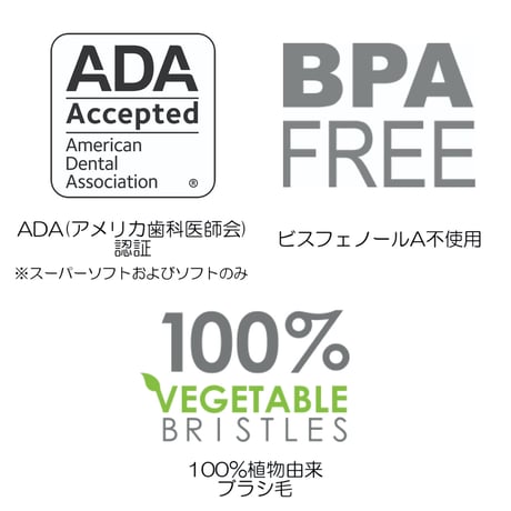 ラディウス替ブラシ（ソース、トラベル歯ブラシ専用）