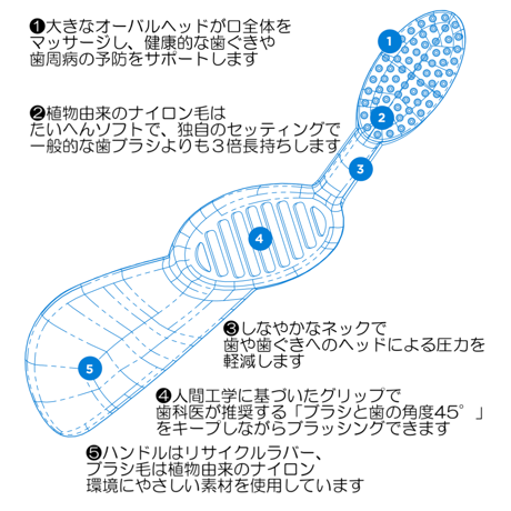 ラディウス フレックス歯ブラシ