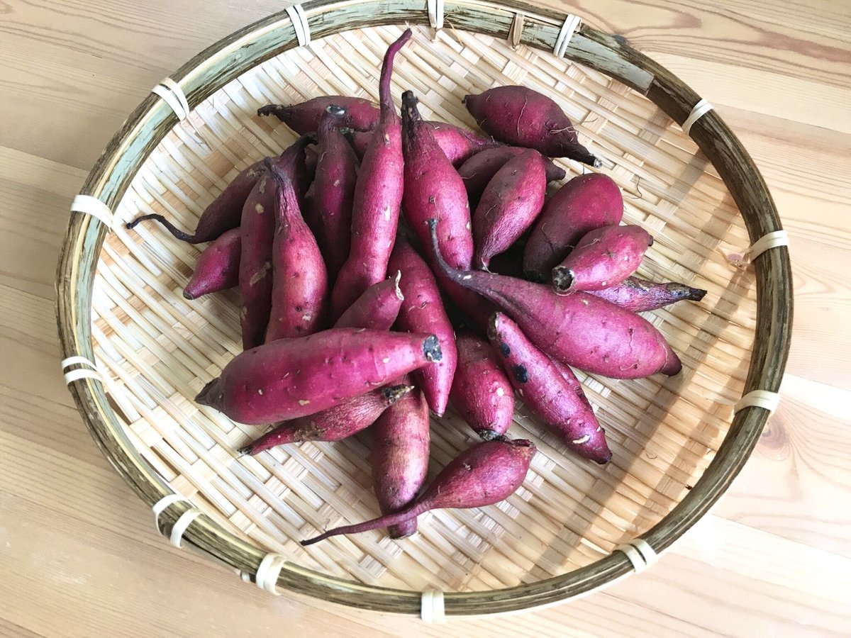自然栽培のさつまいも（Sサイズ・500g） | ぽへぽへ農園