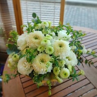 arrangement white