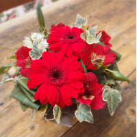arrangement　red