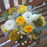 arrangement  yellow