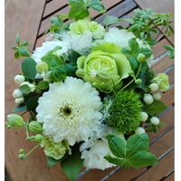 arrangement　ｗhite＆green