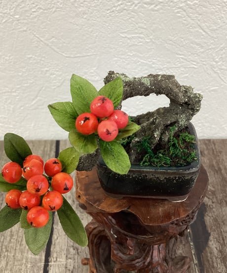 #53 ピラカンサPyracantha　黒い鉢Black Pot（青木桃子）