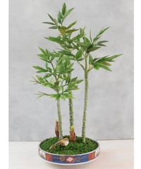 #27 笹竹（受注可）（青木悦子）