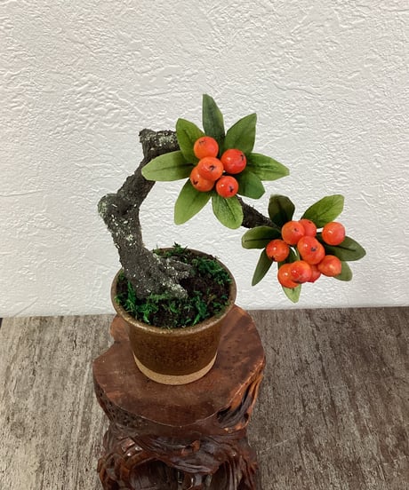 #52 ピラカンサ　金茶色の鉢（青木桃子）