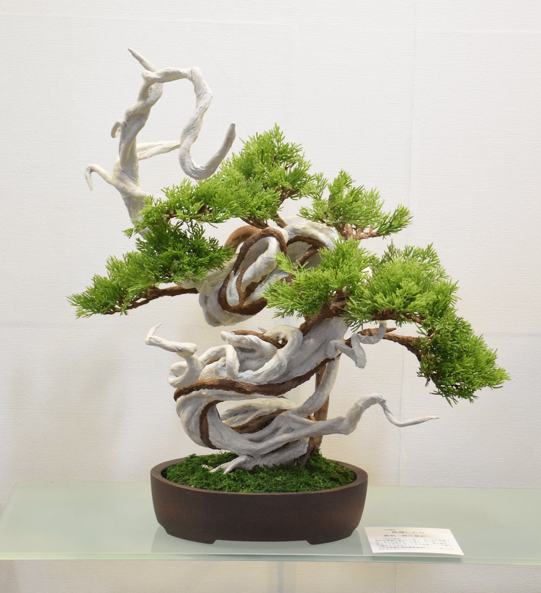 86 真柏「神の意匠」（馬場しんり） | クラフト盆栽美術館 Artcraft Bonsai