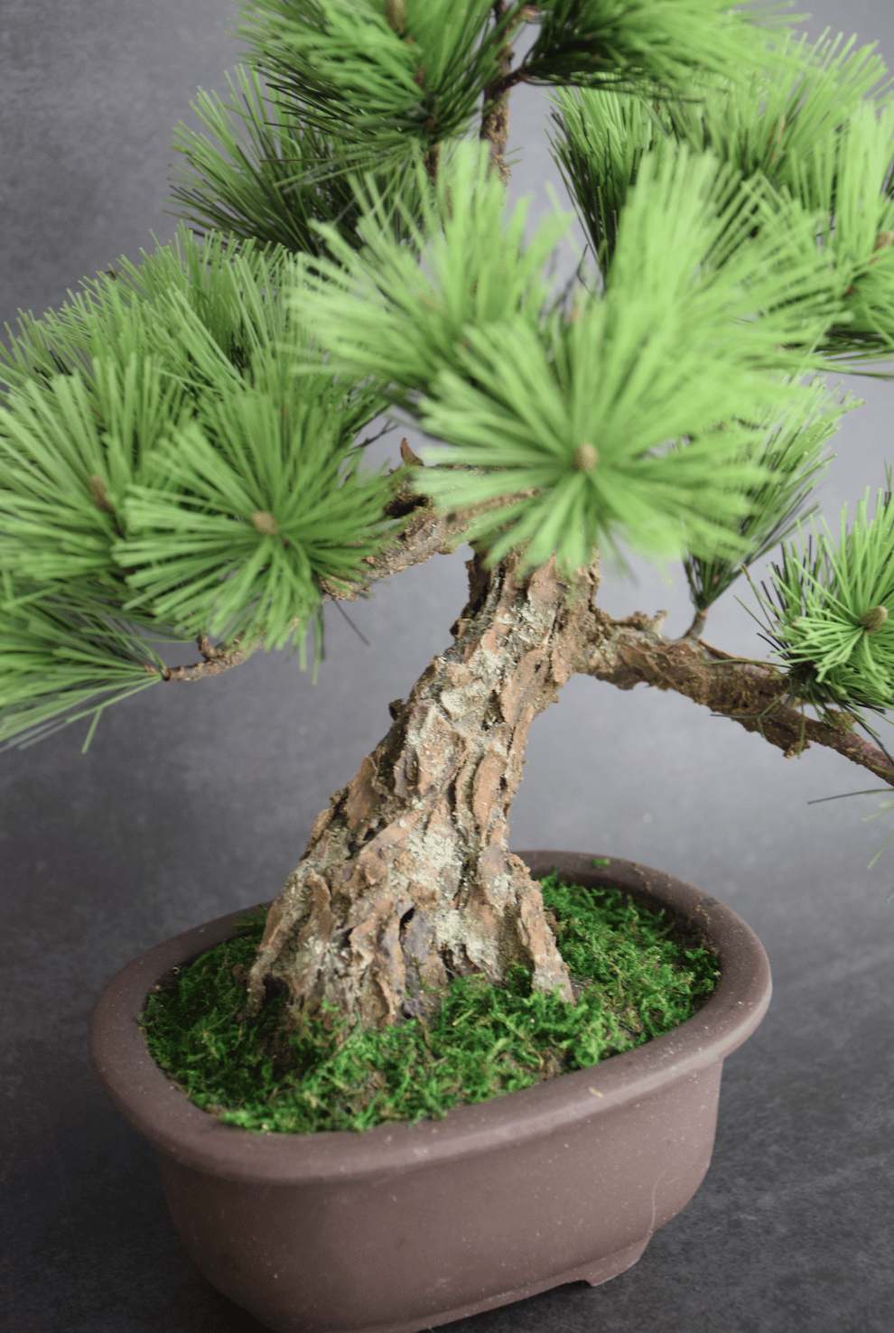 希少時代手作り松皮大きい盆栽鉢木肌作り植木鉢大寄せ植え鉢30cmゴツゴツ南蛮鉢 original