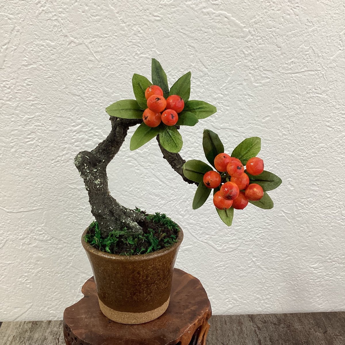 ピラカンサ　[模様木]　大品盆栽 ピラカンサ [模様木] 大品盆栽 52 ピラカンサ 金茶色の鉢 | クラフト