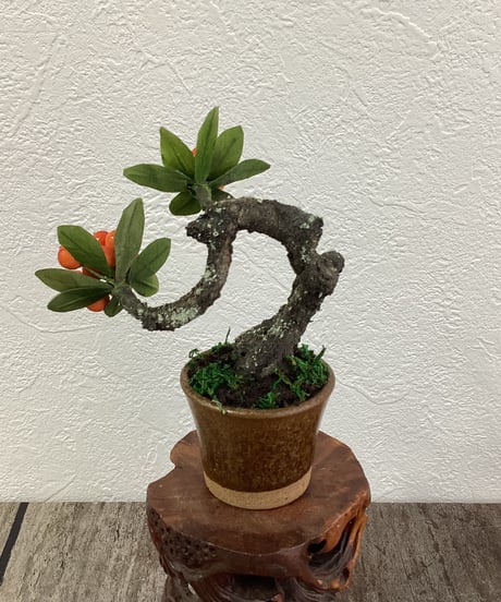 #52 ピラカンサ　金茶色の鉢（青木桃子）