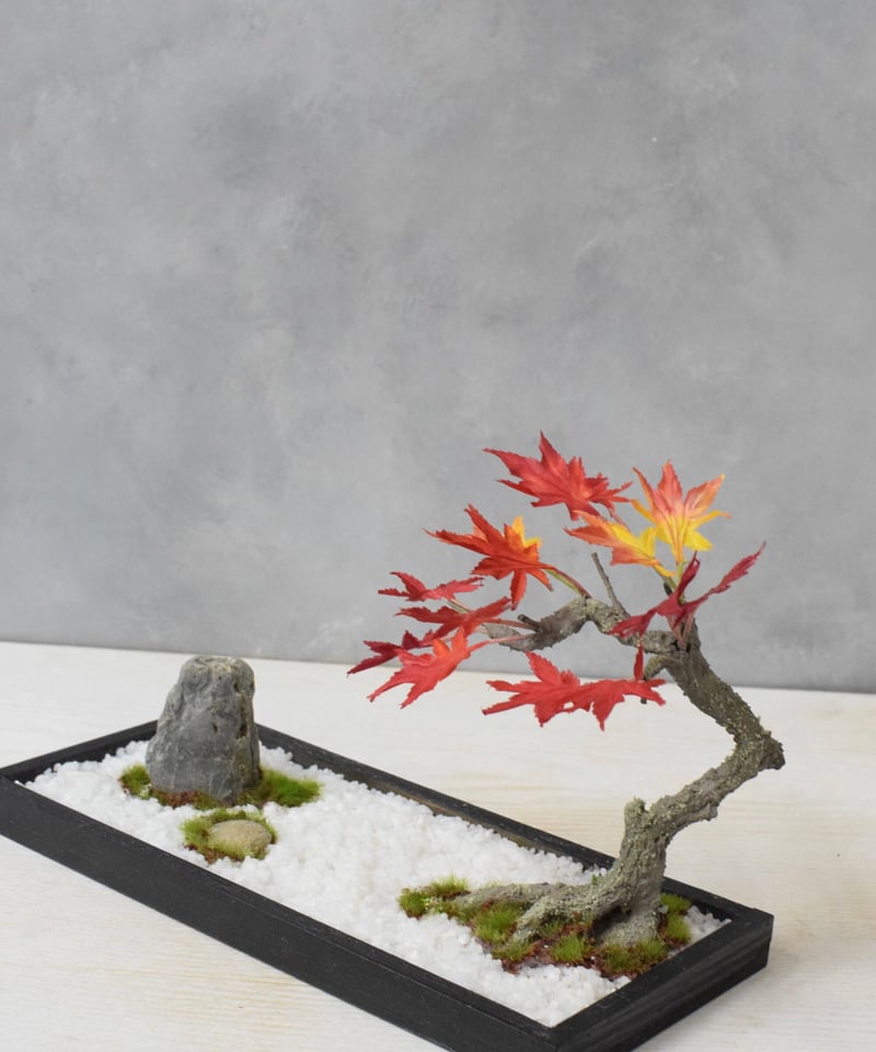 17 盆景 モミジ（受注可） | クラフト盆栽美術館 Artcraft Bonsai