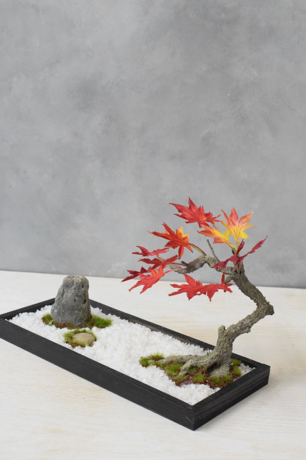⭕️もみじ盆栽　紅葉、モミジ 17 盆景 モミジ（受注可） | クラフト盆栽美術館 Artcraft Bonsai