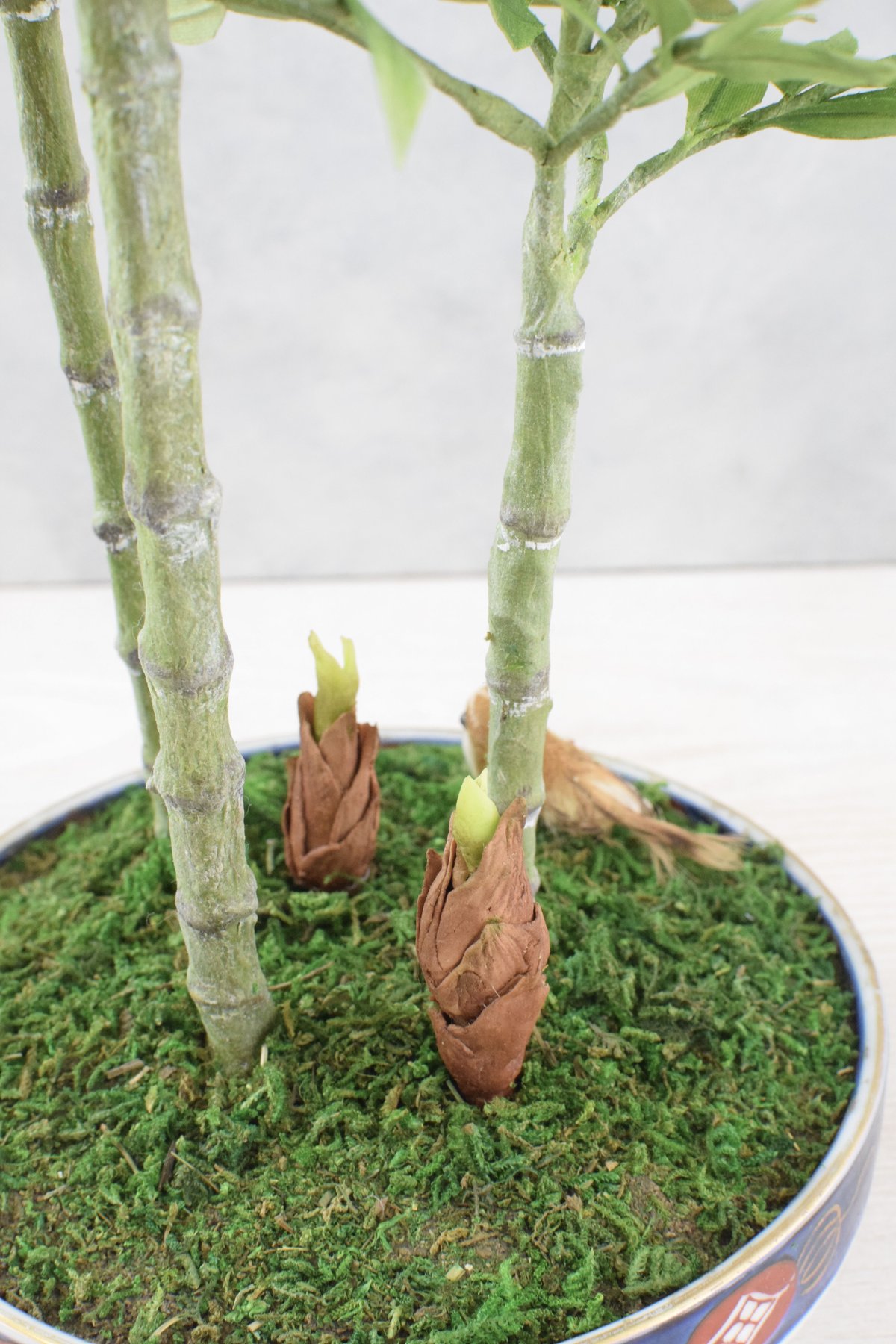 27 笹竹（受注可） | クラフト盆栽美術館 Artcraft Bonsai