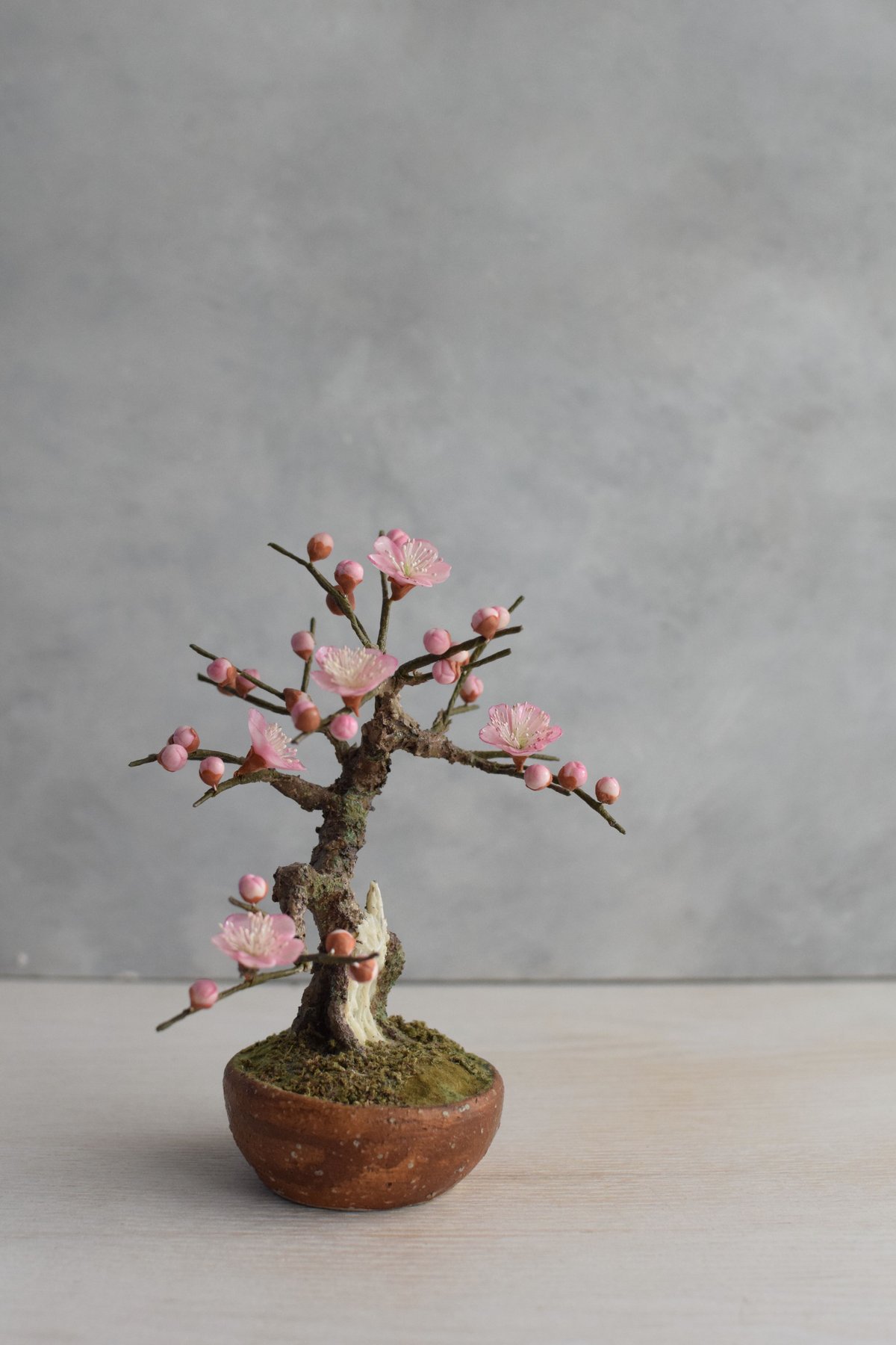 13 梅 淡いピンク | クラフト盆栽美術館 Artcraft Bonsai 13 梅 淡いピンク | クラフト盆栽美術館 Artcraft Bonsai