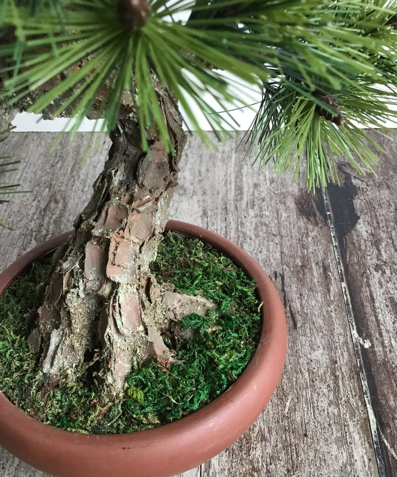 46 黒松盆栽 模様木 | クラフト盆栽美術館 Artcraft Bonsai