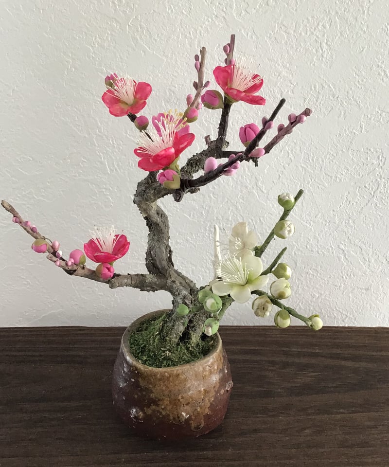 12 梅 紅白 | クラフト盆栽美術館 Artcraft Bonsai