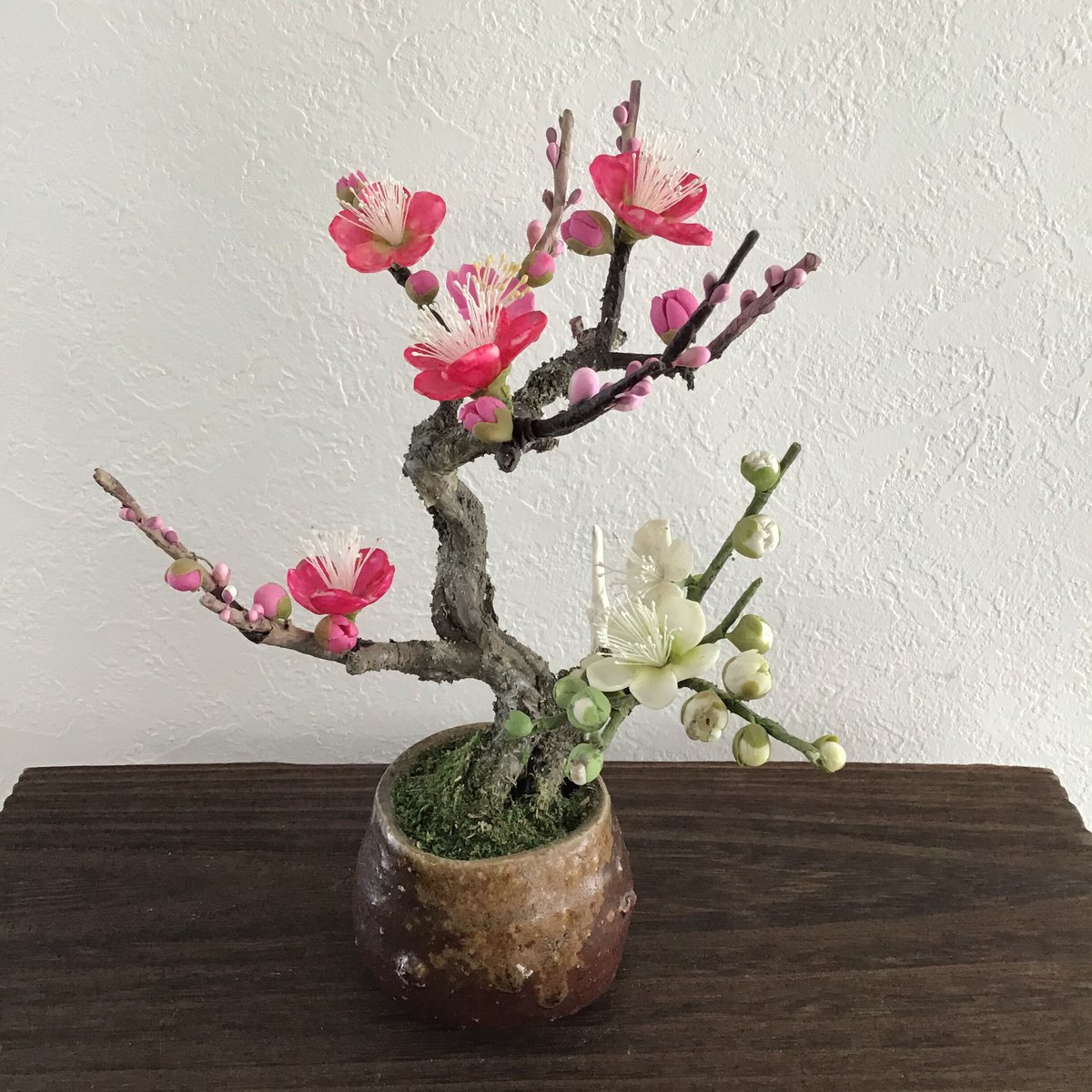 12 梅 紅白 | クラフト盆栽美術館 Artcraft Bonsai