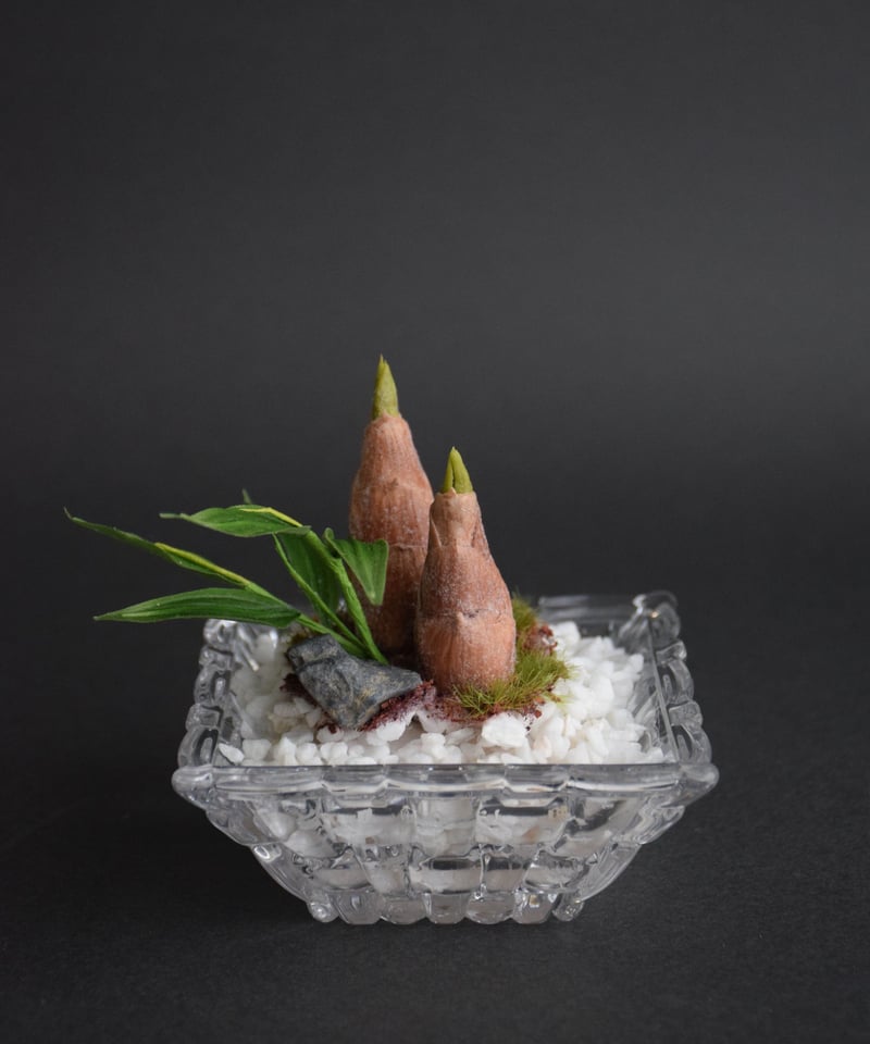たけのこ（Bamboo Shoots)（青木桃子） | クラフト盆栽美術館 Artcraft