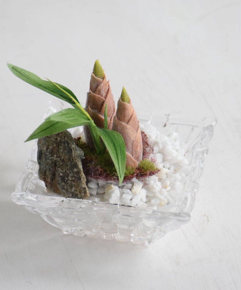 たけのこ（Bamboo Shoots)（青木桃子） | クラフト盆栽美術館 Artcraft