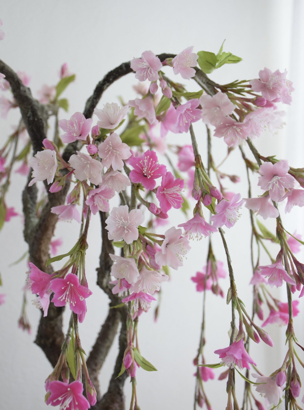 33 枝垂れ桜 | クラフト盆栽美術館 Artcraft Bonsai
