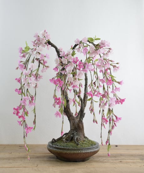 ＃33 枝垂れ桜（青木悦子）
