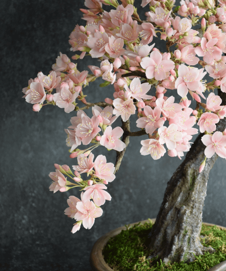 ＃84　桜（青木桃子）