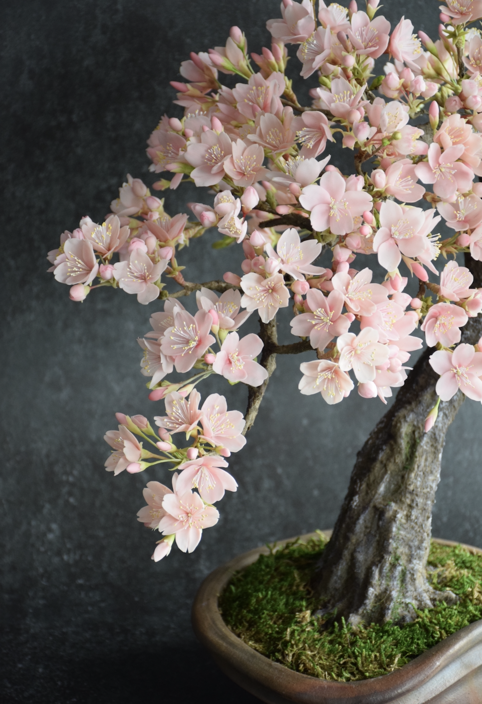 84 桜 | クラフト盆栽美術館 Artcraft Bonsai