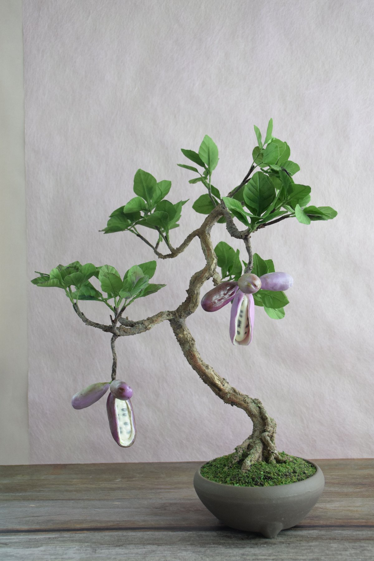 7 あけび | クラフト盆栽美術館 Artcraft Bonsai