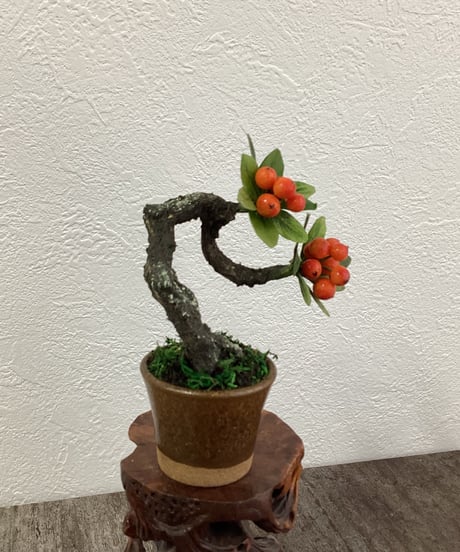 #52 ピラカンサ　金茶色の鉢（青木桃子）