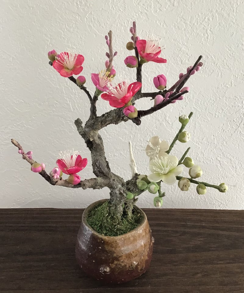 12 梅 紅白 | クラフト盆栽美術館 Artcraft Bonsai