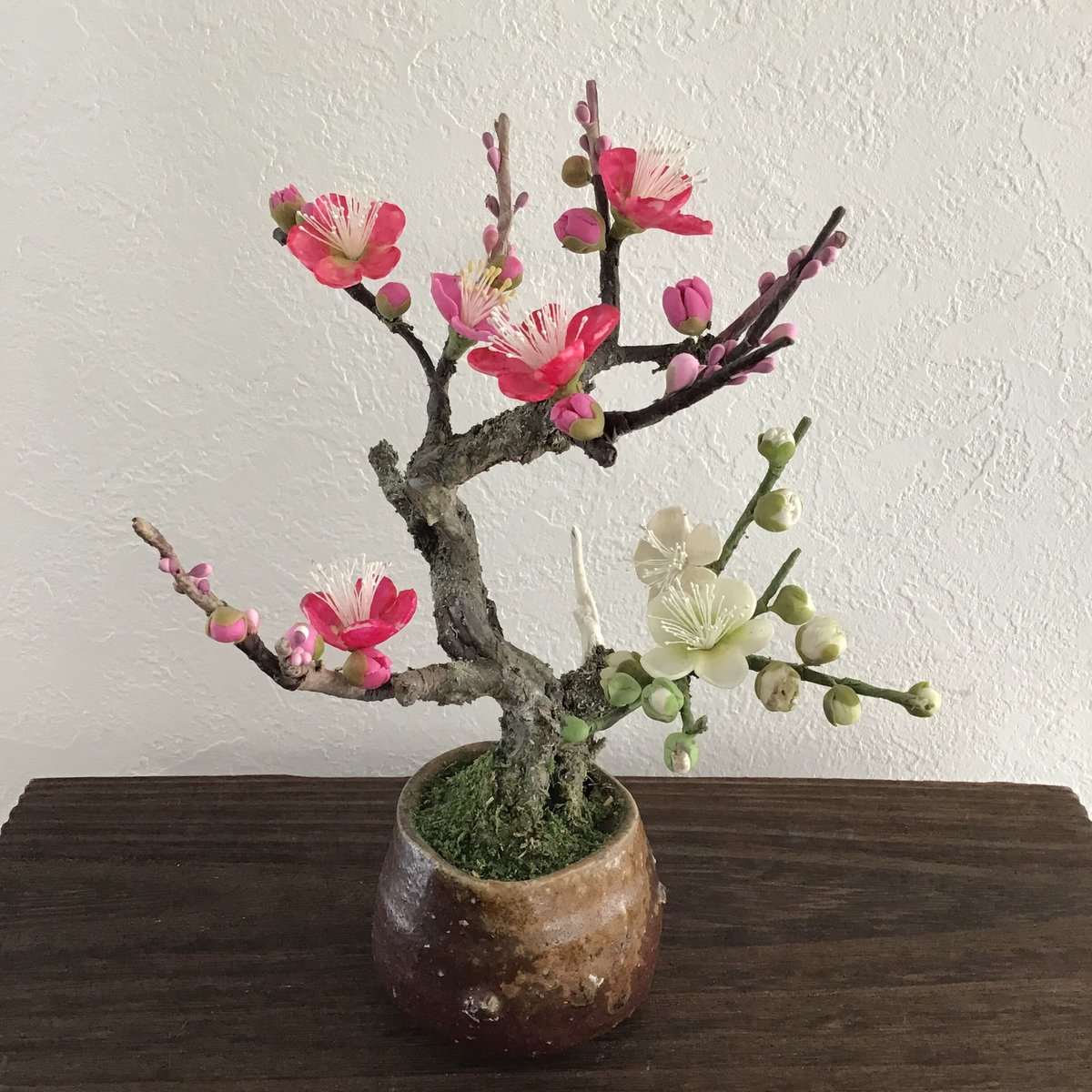 12 梅 紅白 | クラフト盆栽美術館 Artcraft Bonsai