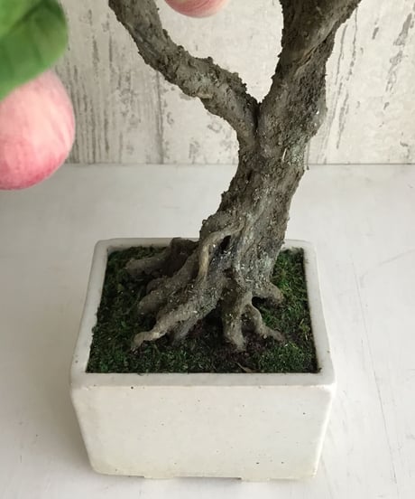 #51  桃（青木桃子）