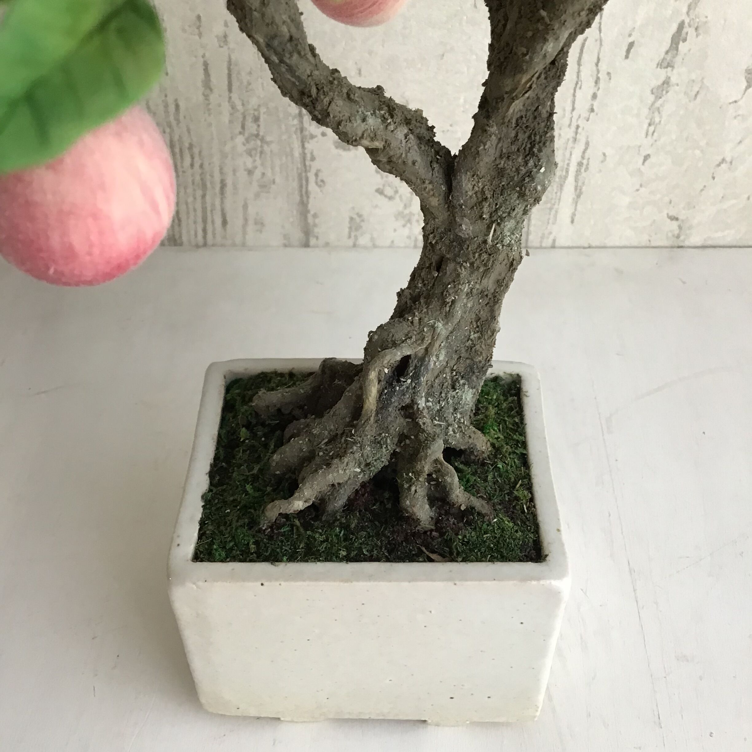 51 桃（青木桃子） | クラフト盆栽美術館 Artcraft Bonsai