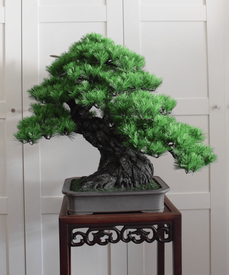 作品一覧ITEM | クラフト盆栽美術館 Artcraft Bonsai