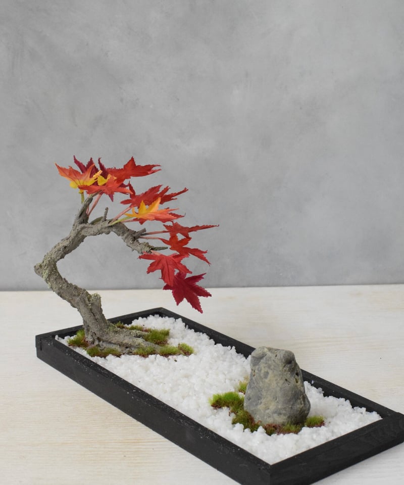 17 盆景 モミジ（受注可） | クラフト盆栽美術館 Artcraft Bonsai