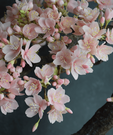 ＃84　桜（青木桃子）
