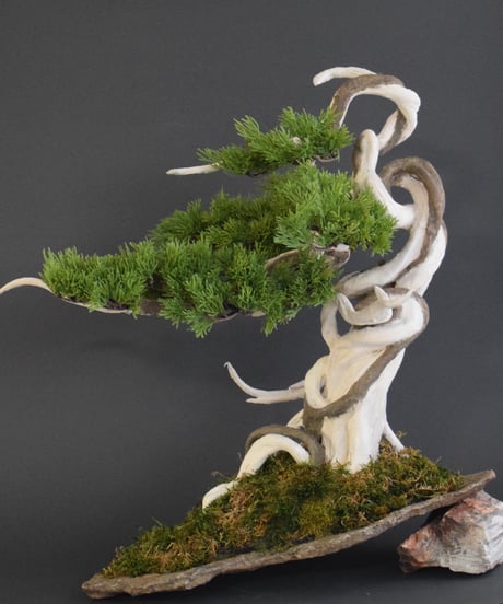 作品一覧ITEM | クラフト盆栽美術館 Artcraft Bonsai