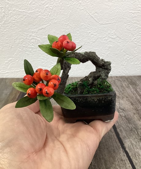 #53 ピラカンサPyracantha　黒い鉢Black Pot（青木桃子）