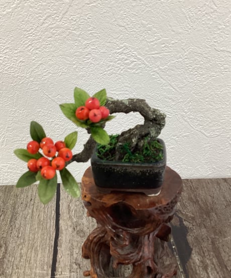 #53 ピラカンサPyracantha　黒い鉢Black Pot（青木桃子）