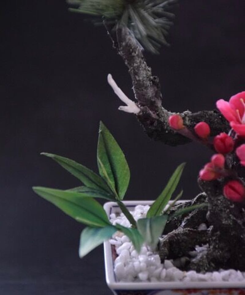39 松竹梅 クジャク柄の器 | クラフト盆栽美術館 Artcraft Bonsai