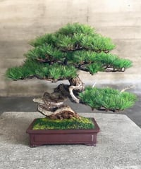 #105 松（馬場 勝）
