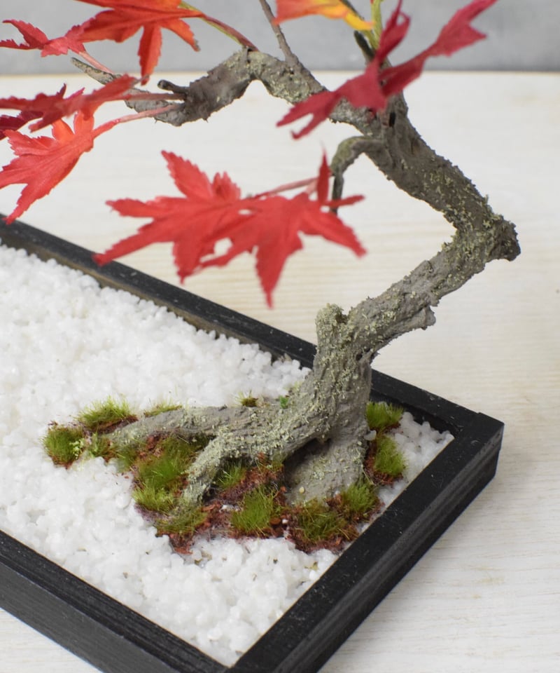17 盆景 モミジ（受注可） | クラフト盆栽美術館 Artcraft Bonsai