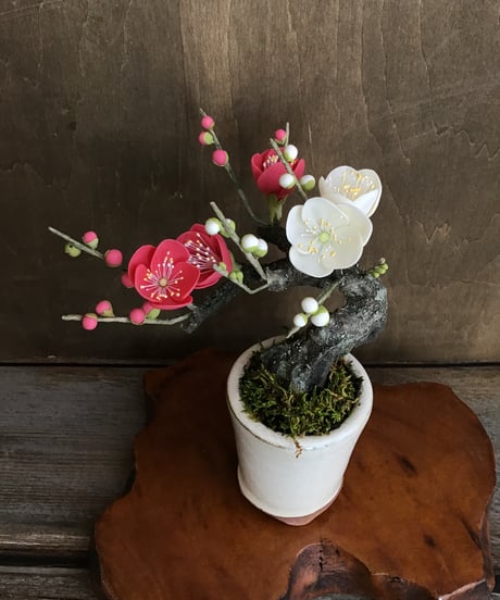 紅白梅（青木桃子）