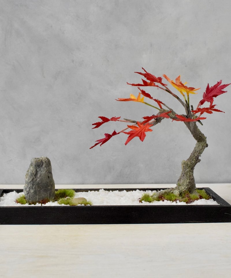 17 盆景 モミジ（受注可） | クラフト盆栽美術館 Artcraft Bonsai